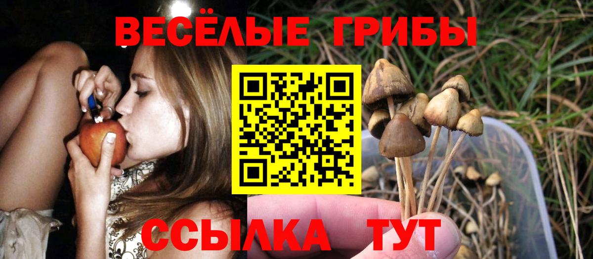 Галлюциногенные грибы MAGIC MUSHROOMS Аша